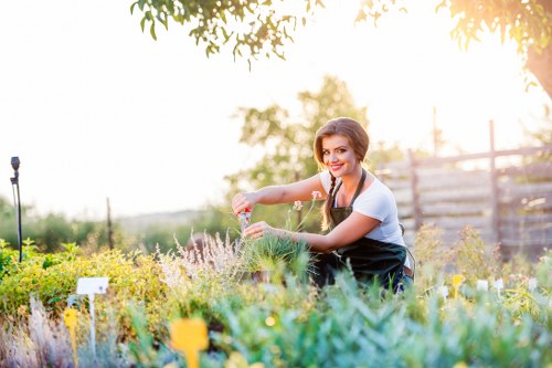 Seasonal garden maintenance services in Forestdale