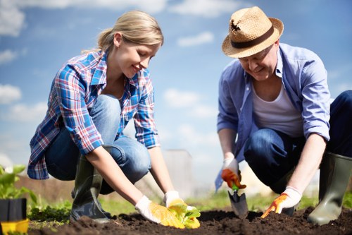 Weed control and overseeding for lawn care in Forestdale