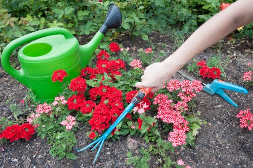 Local gardening services in Forestdale restoring an overgrown garden