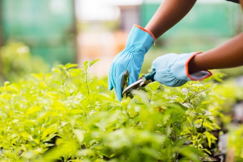 Documenting a gardening complaint and checking service notes