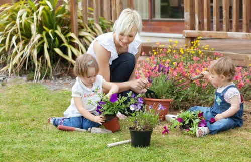 Healthy turf and lawn improvement work for landscaping in Forestdale