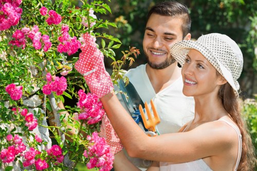 Deadwood removal and safety tree maintenance in Forestdale