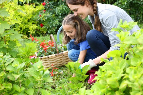 Forestdale garden maintenance with healthy lawn and shrubs