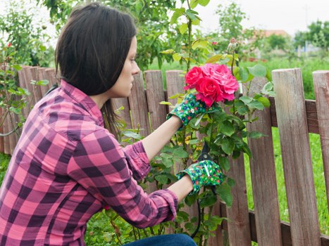 Garden maintenance appointment arrangements and site access checks