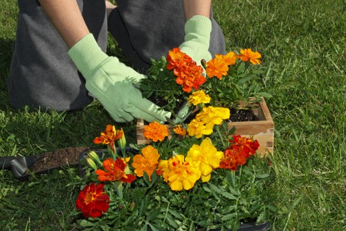 Safe arborist tree service in Forestdale using professional equipment