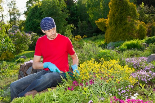 Professional gardeners shaping a tidy outdoor space in Forestdale