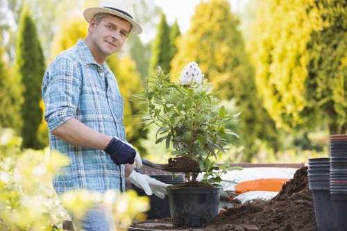 About Us Gardeners Forestdale with a neat and balanced landscape