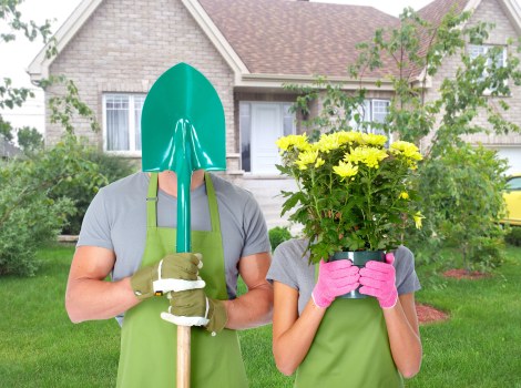 Healthy lawn care as part of garden maintenance in Forestdale