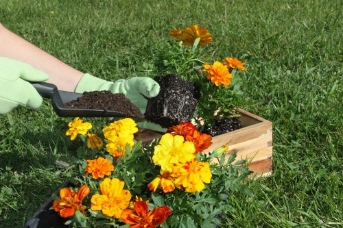 Illustration of an inclusive Gardeners Forestdale web experience