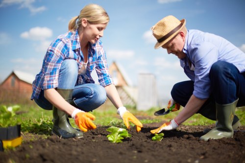 Closing a garden service complaint with a clear and fair outcome