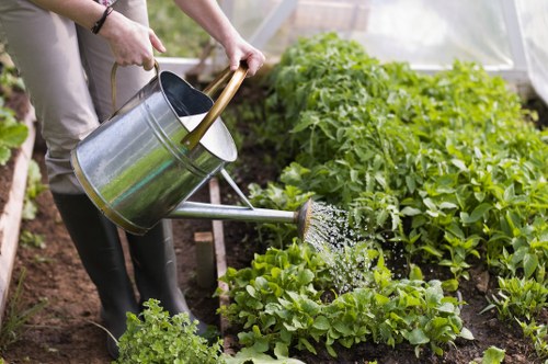 Professional landscaping features including shrubs, mulch, and edging in Forestdale