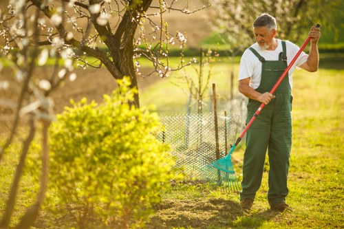 Crown reduction and pruning service for a mature tree