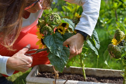 Gardeners handling tools and materials with care