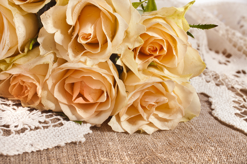 landscape design garden