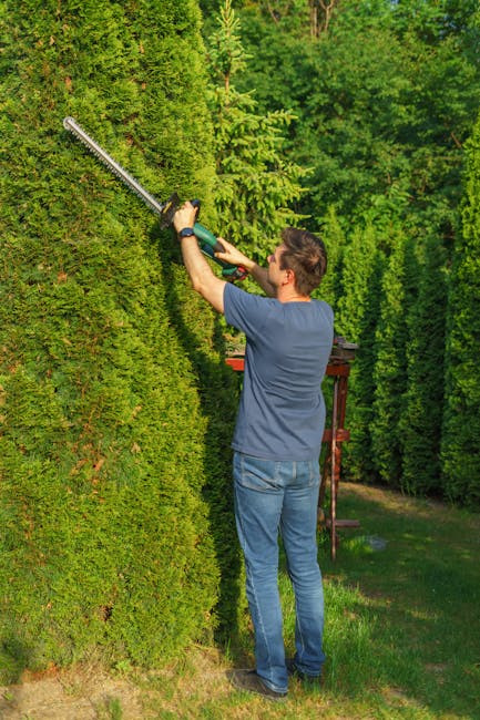 A man wearing a black apron and light-colored trousers is engaged in lawn care work in a well-maintained garden. He is pushing a petrol-powered lawn mower over a lush, green grass lawn, which appears 