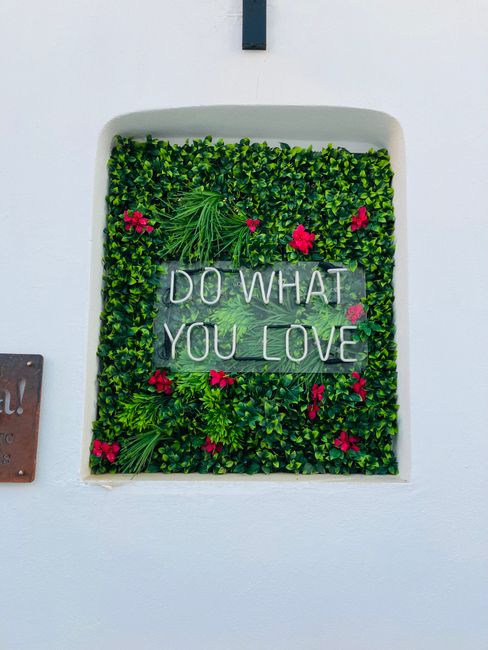 A decorative garden wall panel featuring a lush green plant backdrop with small, glossy leaves. Bright pink flowers are scattered throughout the foliage, adding vibrant accents. In the center, a clear