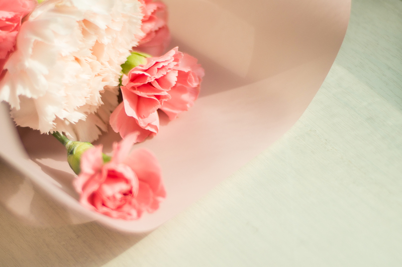 hedge trimming hedge cutting